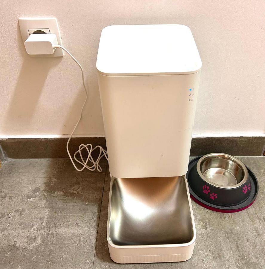 דירות פודגוריצה Flat Mara, Pet Friendly מראה חיצוני תמונה